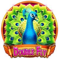 Double Fly